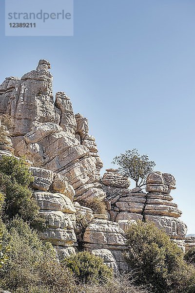 Felsformationen aus Kalkstein  Naturpark El Torcal  Torcal de Antequera  Provinz Malaga  Andalusien  Spanien  Europa