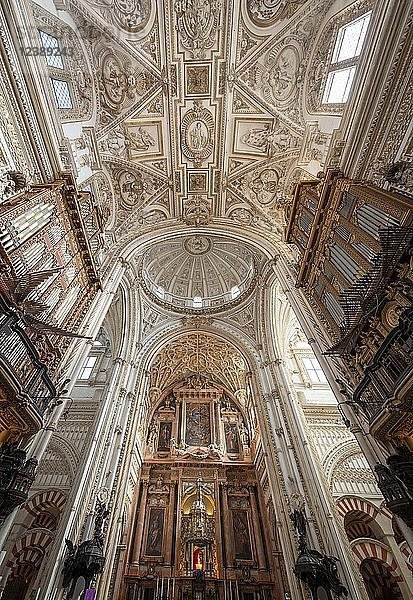 Gewölbedecke und Chor  Mezquita-Catedral de Córdoba oder Kathedrale der Empfängnis Unserer Lieben Frau  Córdoba  Provinz Cordoba  Andalusien  Spanien  Europa