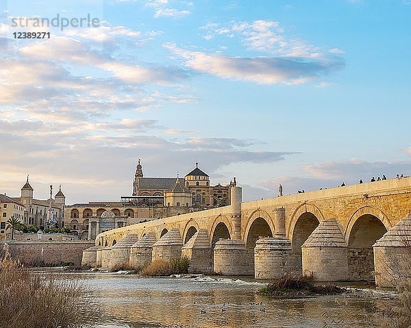 Abendstimmung  Puente Romano  römische Brücke über den Rio Guadalquivir  hinter der Mezquita  Catedral de Córdoba  Cordoba  Andalusien  Spanien  Europa