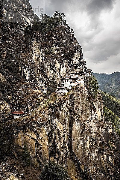 Buddhistisches Tigernestkloster Taktshang an steiler Felswand  Tigernest  Bezirk Paro  Himalaya  Königreich Bhutan