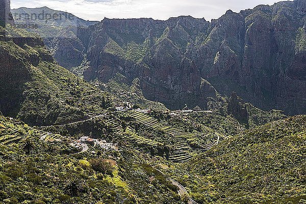 Blick auf das Dorf Masca und den Barranco de Masca  Masca-Schlucht  Bergstraße  Parque Rural de Teno  Teneriffa  Kanarische Inseln  Spanien  Europa