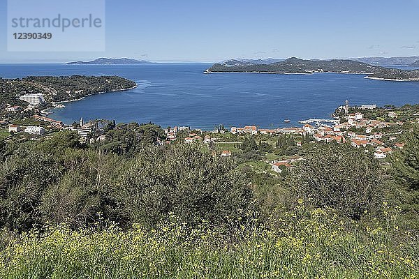 Blick von der Insel Lopud auf die Insel Mljet  die Insel Sipan und die Insel Ruda (von links)  Elaphitische Inseln  Dalmatien  Kroatien  Europa