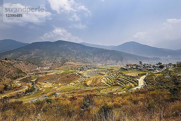 Blick auf Lobesa und Reisterrassen  Bezirk Punakha  Bhutan  Asien