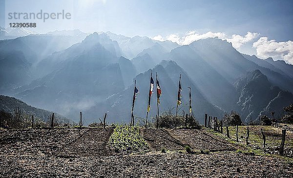 Buddhistische Gebetsfahnen vor dem Himalaya-Gebirge bei Sonnenaufgang  Bezirk Gasa  Königreich Bhutan