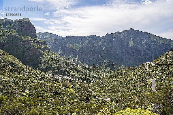 Blick auf das Dorf Masca und den Barranco de Masca  Masca-Schlucht  Bergstraße  Parque Rural de Teno  Teneriffa  Kanarische Inseln  Spanien  Europa