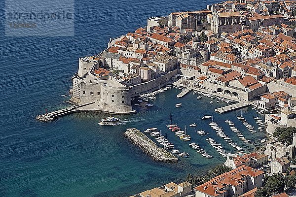 Blick auf den alten Hafen  Altstadt  Dubrovnik  Kroatien  Europa