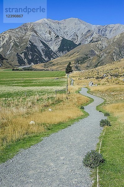 Fußweg zum Craigieburn Forest Park von Castle Hill aus  Südinsel  Neuseeland  Ozeanien