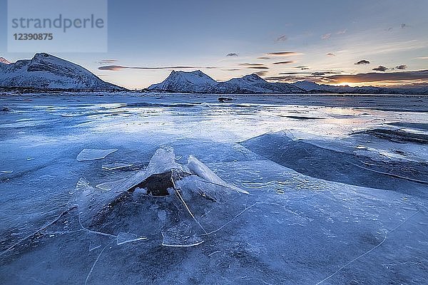 Gefrorener Fjord mit gebrochenem Eis  Eislandschaft  Gimsoy  Lofoten  Norwegen  Europa