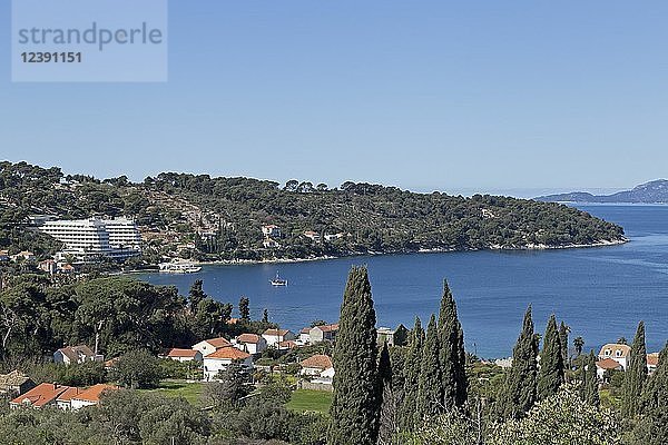 Insel Lopud  Elaphitische Inseln  Dalmatien  Kroatien  Europa