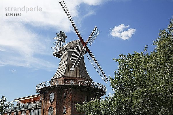 Wehbers Mühle  Windmühle  Galerieholländer  Niedersächsische Mühlenstraße  Himmelpforten  Niedersachsen  Deutschland  Europa