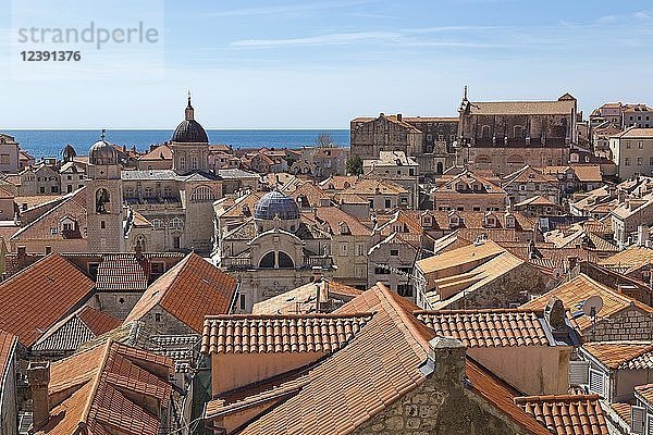 Blick von der Stadtmauer auf die Dächer der Altstadt mit Kathedrale  St. Blasius Kirche und Jesuitenkloster  Dubrovnik  Kroatien  Europa