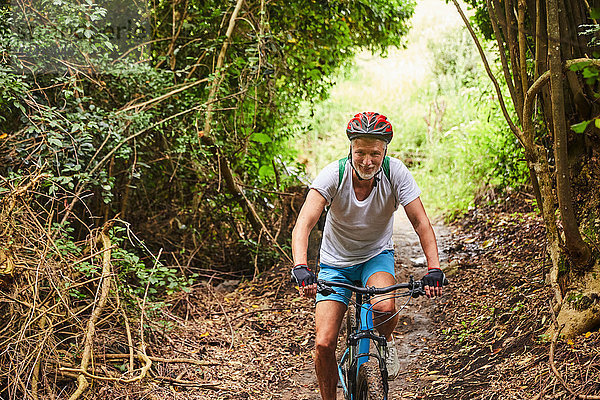 Mature man mountain biking on trail in woods