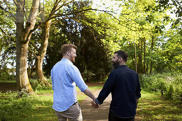 Affectionate male gay couple holding hands in sunny park