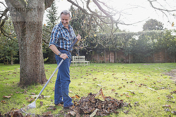 Älterer Mann harkt Herbstblätter im Hinterhof