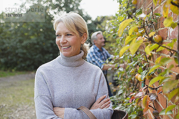 Porträt einer glücklichen  selbstbewussten reifen Frau  die im Garten Äpfel erntet