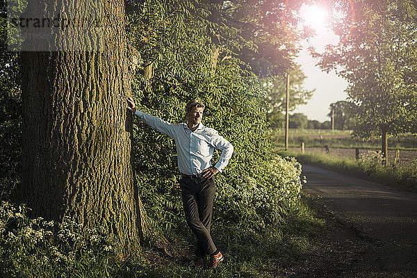 Businessman standing on tree