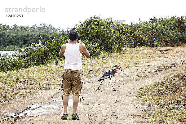 Uganda  Queen Elisabeth National Park  Touist taking pictures of a marabu