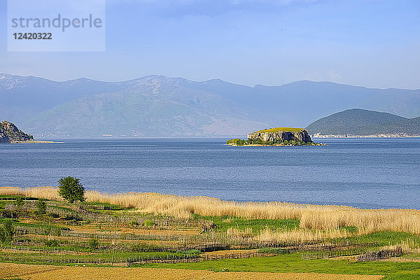 Albania  Prespa National Park  Lake Prespa with Maligrad Island  Macedonia in the background