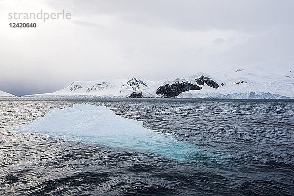 Antarctic  Antarctic Peninsula  iceberg