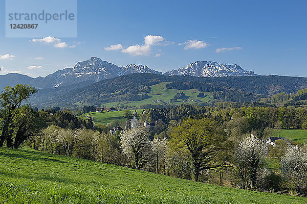 Germany  Bavaria  Upper Bavaria  Chiemgau  Rupertiwinkel  View to former Hoeglwoerth Abbey  Berchtesgadener Alps in the background