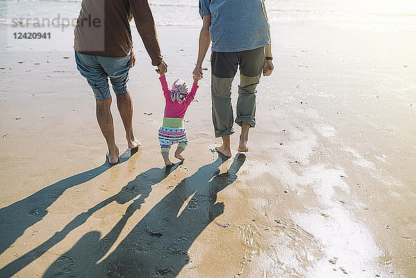 Back view of baby girl walking on the beach with father and grandfather