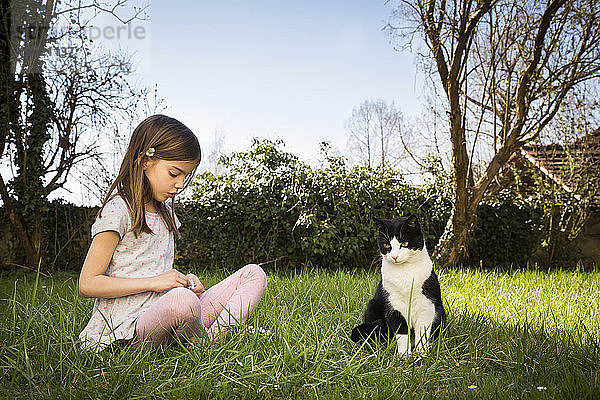 Little girl sitting on a meadow besides cat picking daisies