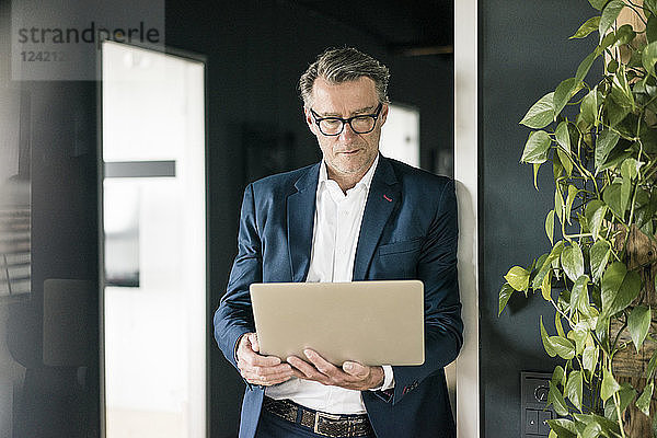 Mature businessman standing in office using laptop