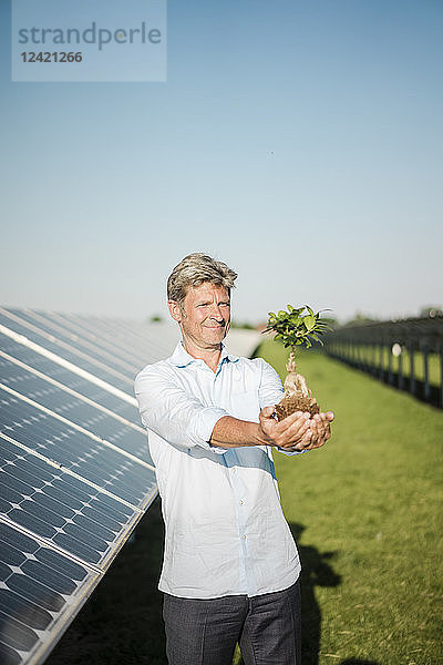 Mature man looking at privet  solar plant