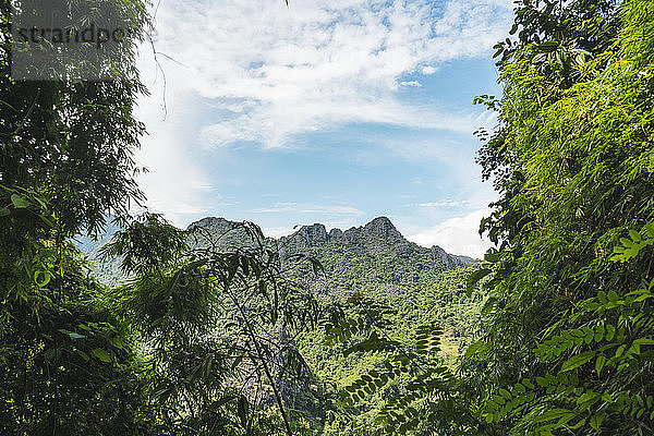 Laos  Vang Vieng  jungle landscape with mountain