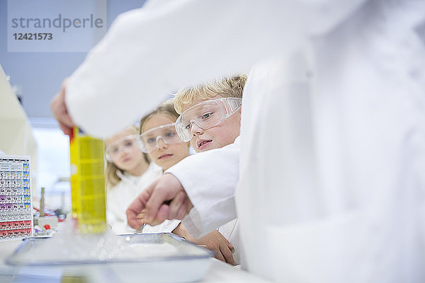 Pupils in science class watching teacher experimenting