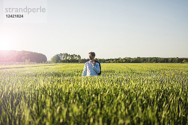 Businessman standing in grain field