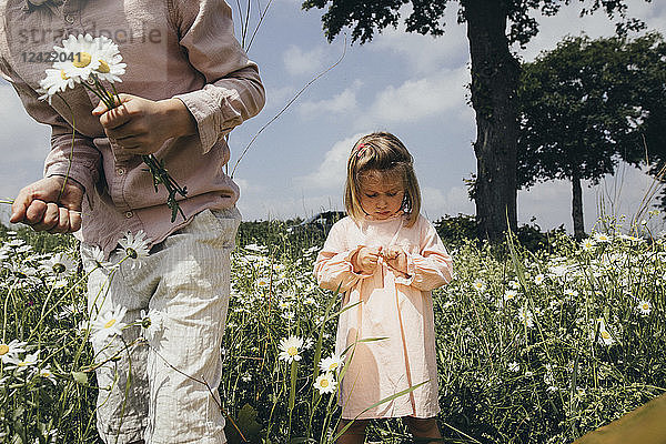 Siblings picking flowers on a meadow