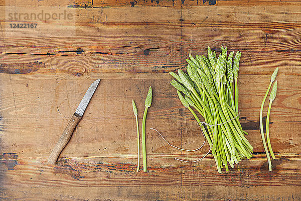 Green wild asparagus on wood