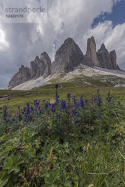 Italy  Sexten Dolomites  Tre Cime di Lavaredo  Nature Park Tre Cime