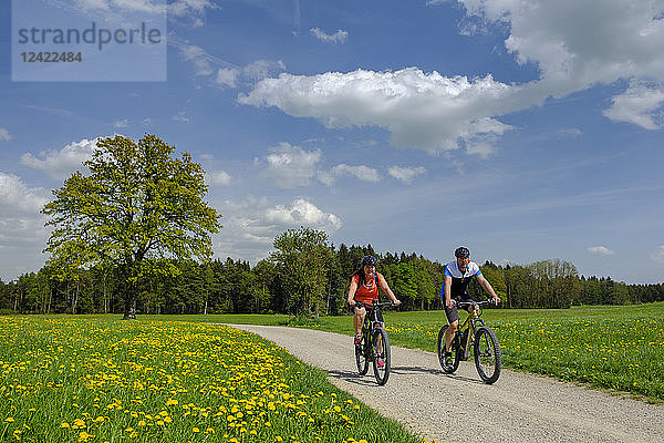 Germany  Upper Bavaria  Fembach  Chiemgau  cyclists