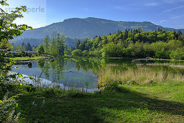 Germany  Bavaria  Upper Bavaria  Chiemgau  Achen Valley  Mettenham  Lake Zellersee