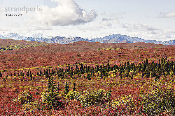 USA  Alaska  Denali National Park  Alaska Range in autumn