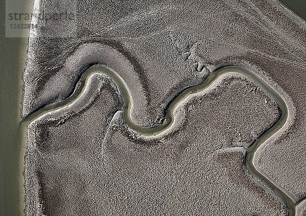 USA  Virginia  Aerial view of Virginia Coast Reserve  marshland
