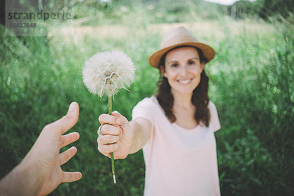 Man's hand receiving blowball from woman  close-up