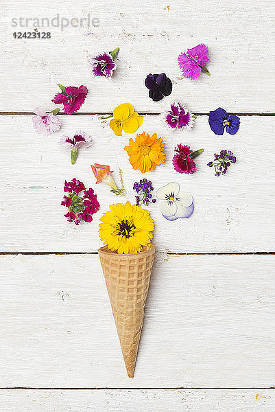 Ice cream cone and edible flowers on white wood