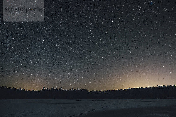 Sweden  Sodermanland  frozen lake Navsjon in winter under starry sky at night