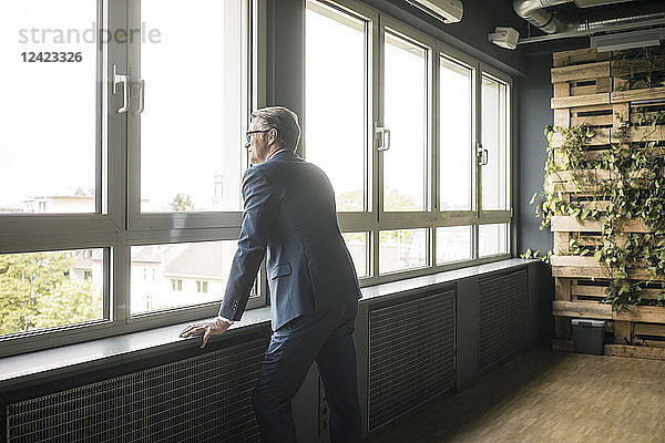 Mature businessman standing at the window in office