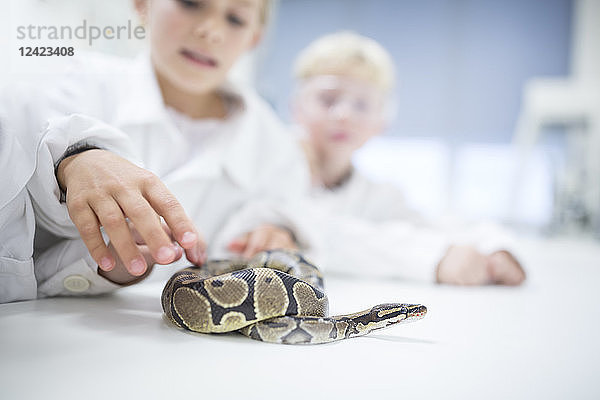 Pupils in science class examining snake