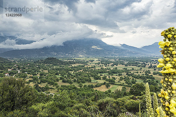 Greece  Peloponnese  Corinthia  Feneos plain  Kyllini Mountains