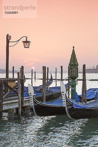 Italy  Venice  gondolas in water