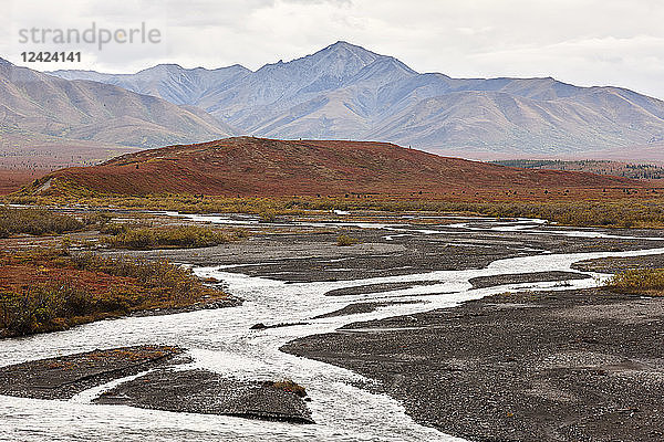 USA  Alaska  Denali National Park in autumn