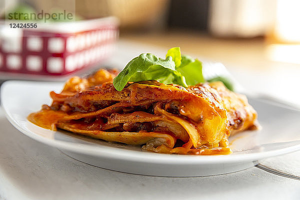 Vegetarian lasagne bolognese with basil and tomato