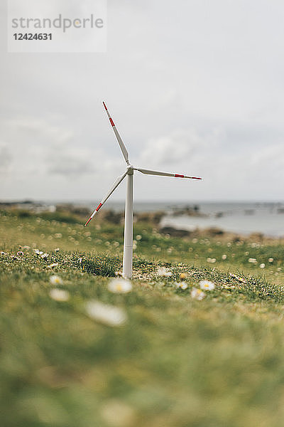 France  Brittany  Meneham  miniature wind turbine at the coast
