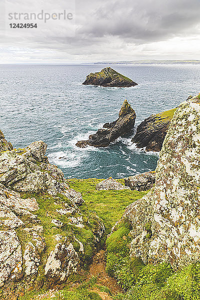 United Kingdom  Cornwall  coastal area The Rumps