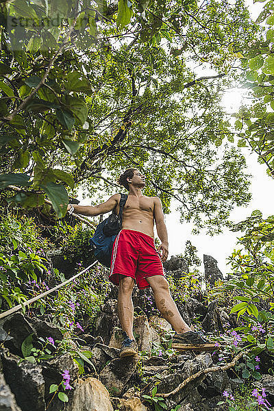Laos  Vang Vieng  young man hiking in the jungle